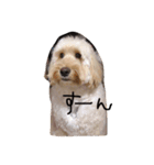 むーむちゃん（個別スタンプ：16）