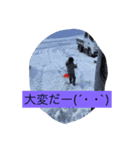 ふぁみりーず（個別スタンプ：5）