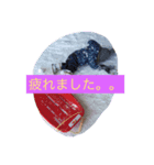 ふぁみりーず（個別スタンプ：7）