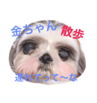 Henkao fam（個別スタンプ：13）