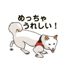 柴犬ルアナとお友達の日常 2（個別スタンプ：12）