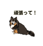 柴犬ルアナとお友達の日常 2（個別スタンプ：35）