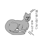 猫のスフィンクスさん（個別スタンプ：1）