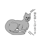 猫のスフィンクスさん（個別スタンプ：2）