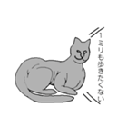 猫のスフィンクスさん（個別スタンプ：3）