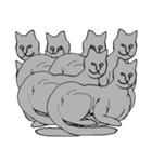 猫のスフィンクスさん（個別スタンプ：5）
