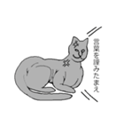 猫のスフィンクスさん（個別スタンプ：6）