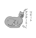 猫のスフィンクスさん（個別スタンプ：7）
