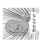 猫のスフィンクスさん（個別スタンプ：9）