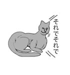 猫のスフィンクスさん（個別スタンプ：10）
