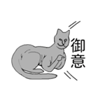 猫のスフィンクスさん（個別スタンプ：13）