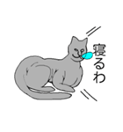 猫のスフィンクスさん（個別スタンプ：15）