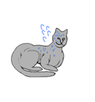 猫のスフィンクスさん（個別スタンプ：16）