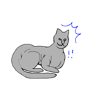 猫のスフィンクスさん（個別スタンプ：18）