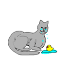 猫のスフィンクスさん（個別スタンプ：19）