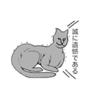 猫のスフィンクスさん（個別スタンプ：20）