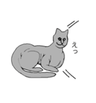 猫のスフィンクスさん（個別スタンプ：21）