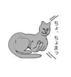猫のスフィンクスさん（個別スタンプ：23）