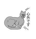 猫のスフィンクスさん（個別スタンプ：24）