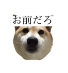 偉そうに返事する犬（個別スタンプ：4）