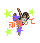 yuzuDiary3（個別スタンプ：1）
