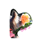 もこすけ（個別スタンプ：3）