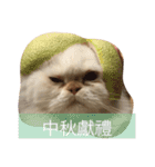Moumou's wonderful life（個別スタンプ：3）