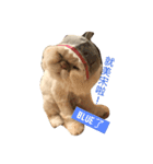 Moumou's wonderful life（個別スタンプ：16）