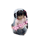 ゆあら.ゆいら（個別スタンプ：6）
