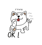 ワンわんスタンプ犬(5才)（個別スタンプ：1）