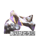 チワワのアリスちゃんと愉快な仲間たち♡（個別スタンプ：28）