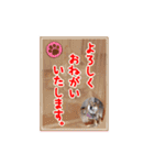 犬のみゅーさま（個別スタンプ：15）