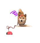 犬のみゅーさま（個別スタンプ：25）