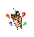 犬のみゅーさま（個別スタンプ：36）