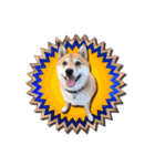 犬のみゅーさま（個別スタンプ：38）