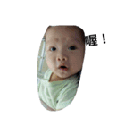 littlebibi（個別スタンプ：6）