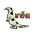 I'm Water monitor（個別スタンプ：18）