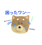 赤柴クッキー（個別スタンプ：2）