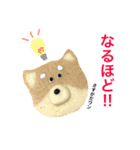 赤柴クッキー（個別スタンプ：3）