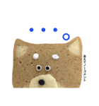 赤柴クッキー（個別スタンプ：4）