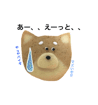 赤柴クッキー（個別スタンプ：8）