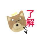 赤柴クッキー（個別スタンプ：14）