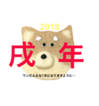 赤柴クッキー（個別スタンプ：19）