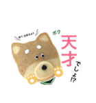 赤柴クッキー（個別スタンプ：21）