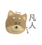 赤柴クッキー（個別スタンプ：23）