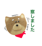赤柴クッキー（個別スタンプ：26）