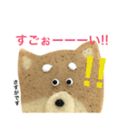 赤柴クッキー（個別スタンプ：30）