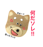 赤柴クッキー（個別スタンプ：33）