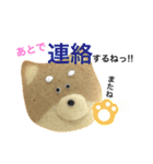 赤柴クッキー（個別スタンプ：39）