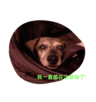 Don't heated it and to believe（個別スタンプ：2）